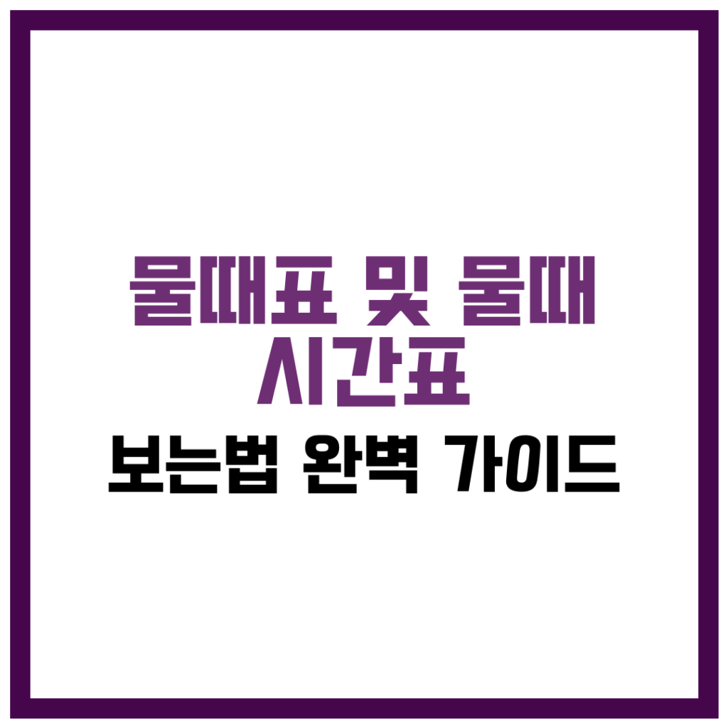 물때표 및 물때 시간표 보는법 완벽 가이드