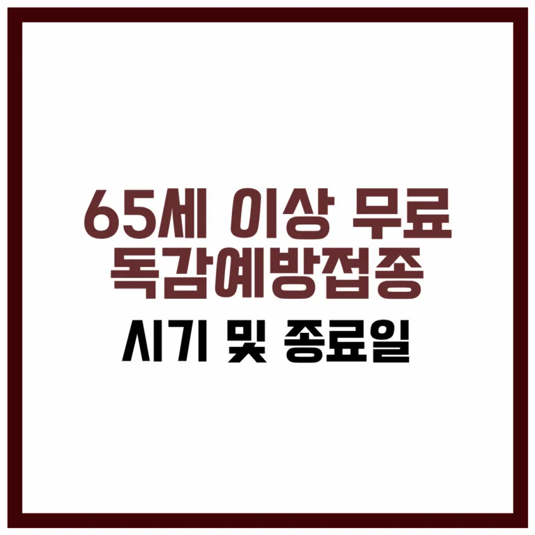 65세 이상 무료 독감예방접종 시기 종료일