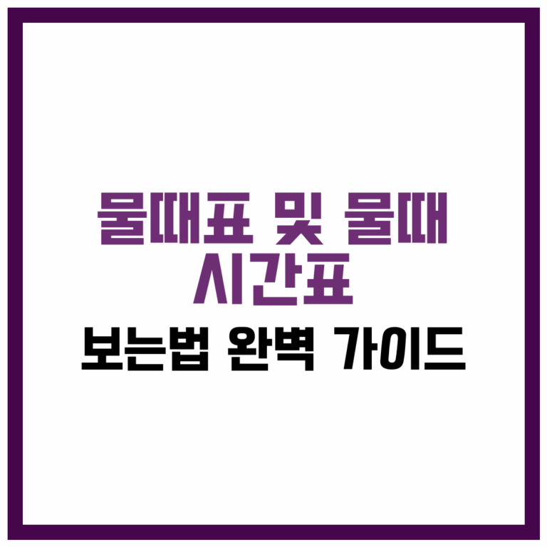 물때표 및 물때 시간표 보는법 완벽 가이드