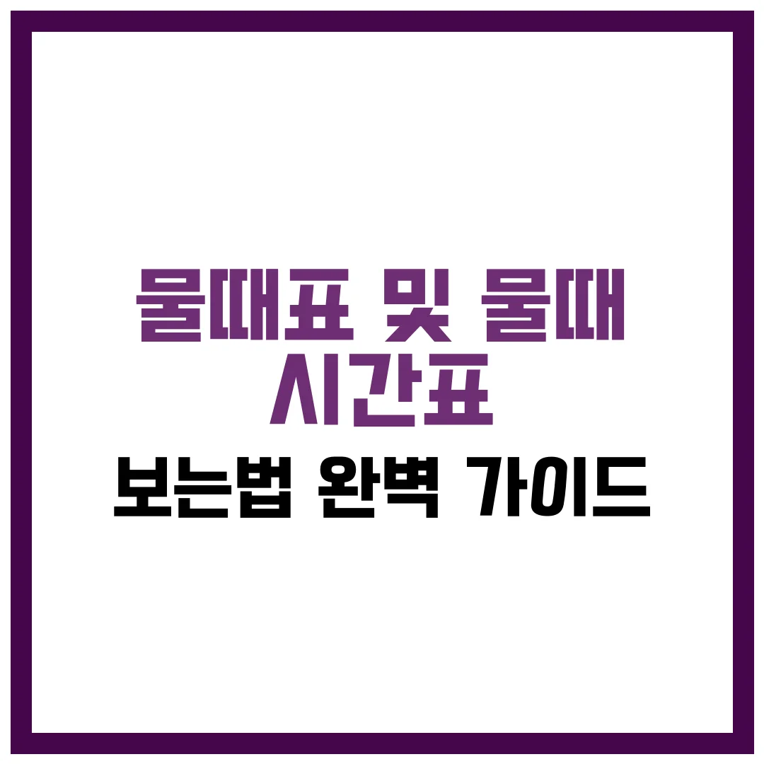 물때표 및 물때 시간표 보는법 완벽 가이드