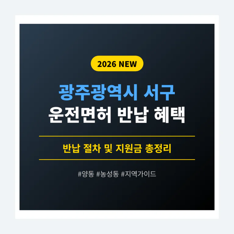광주광역시 서구 운전면허 반납 혜택 | 2026 완벽 가이드
