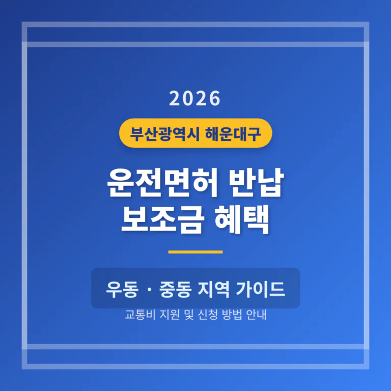 부산광역시 해운대구 운전면허 반납 보조금 및 우동·중동 지역 가이드 | 2026 완벽 가이드