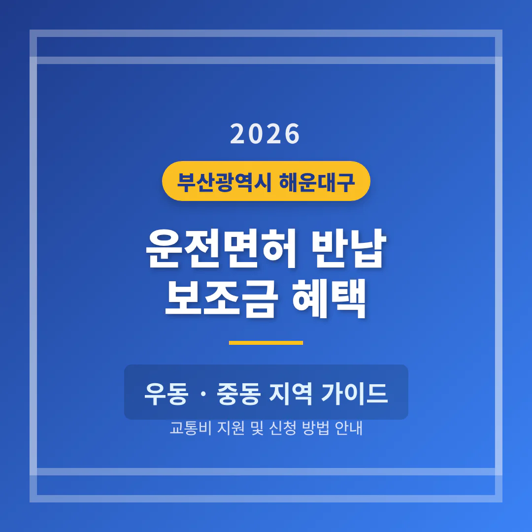 부산광역시 해운대구 운전면허 반납 보조금 및 우동·중동 지역 가이드 | 2026 완벽 가이드