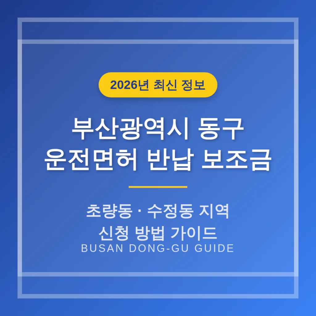 부산광역시 동구 운전면허 반납 보조금 신청 및 초량동·수정동 지역 가이드 | 2026 완벽 가이드