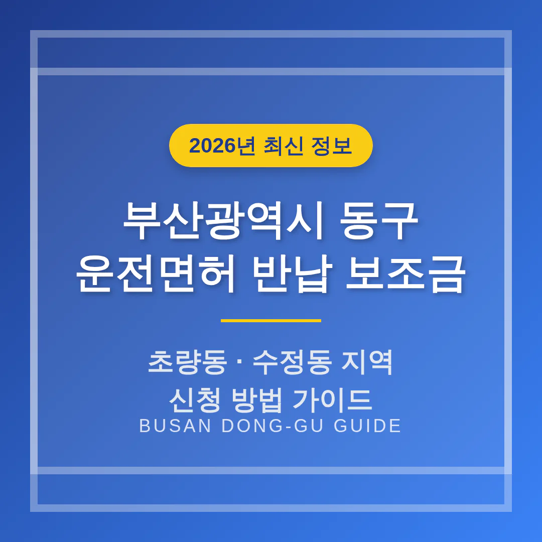 부산광역시 동구 운전면허 반납 보조금 신청 및 초량동·수정동 지역 가이드 | 2026 완벽 가이드