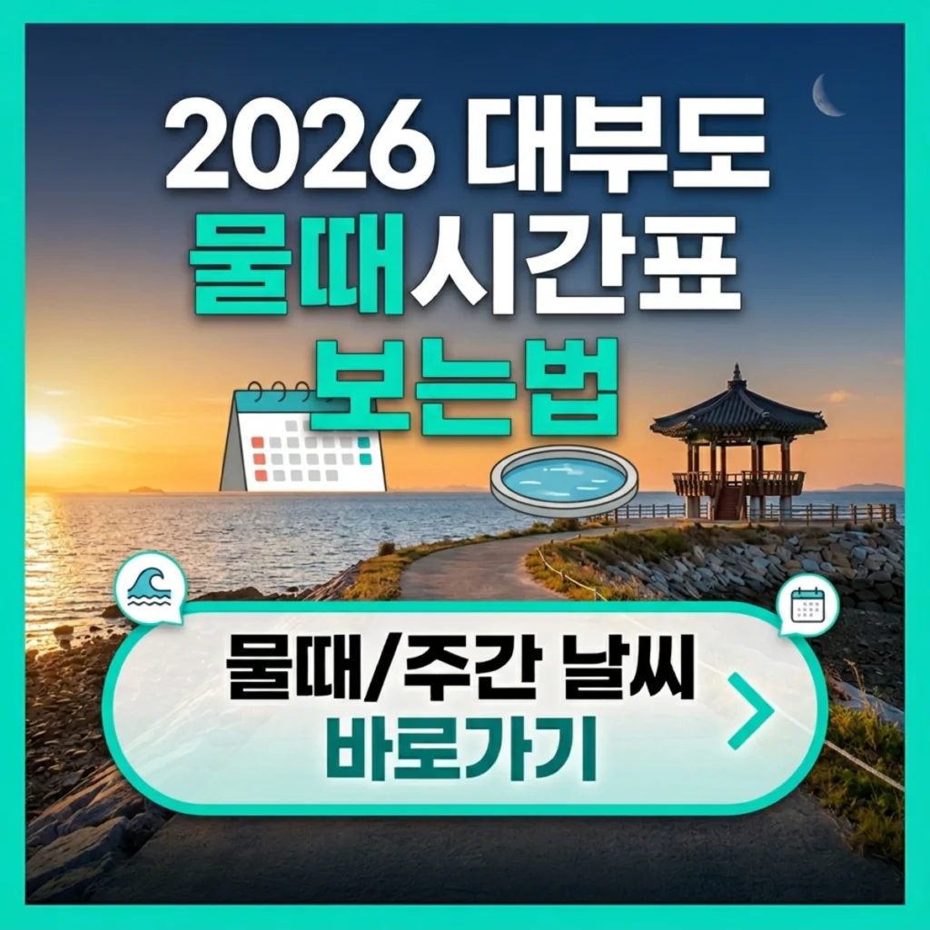2026 대부도 물때시간표 보는법