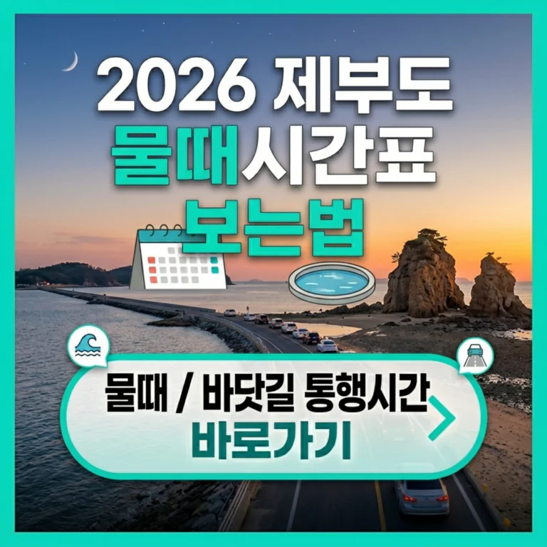 2026 제부도 물때시간표 보는법